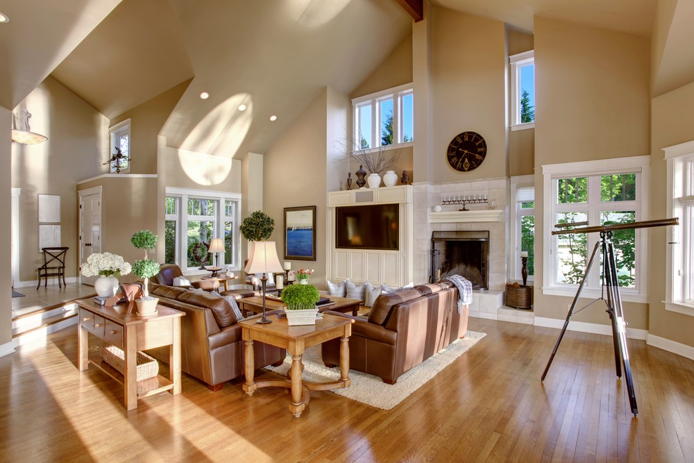 Sunny living room with fireplace and vaulted ceiling
